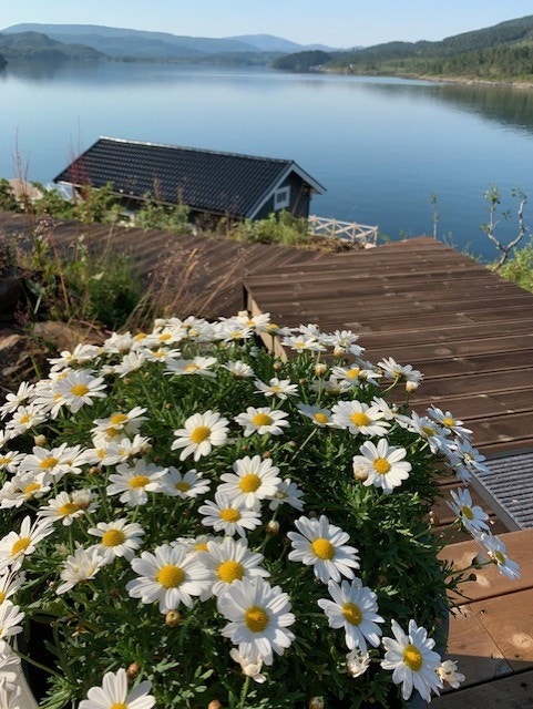 Stemning Galleribilde