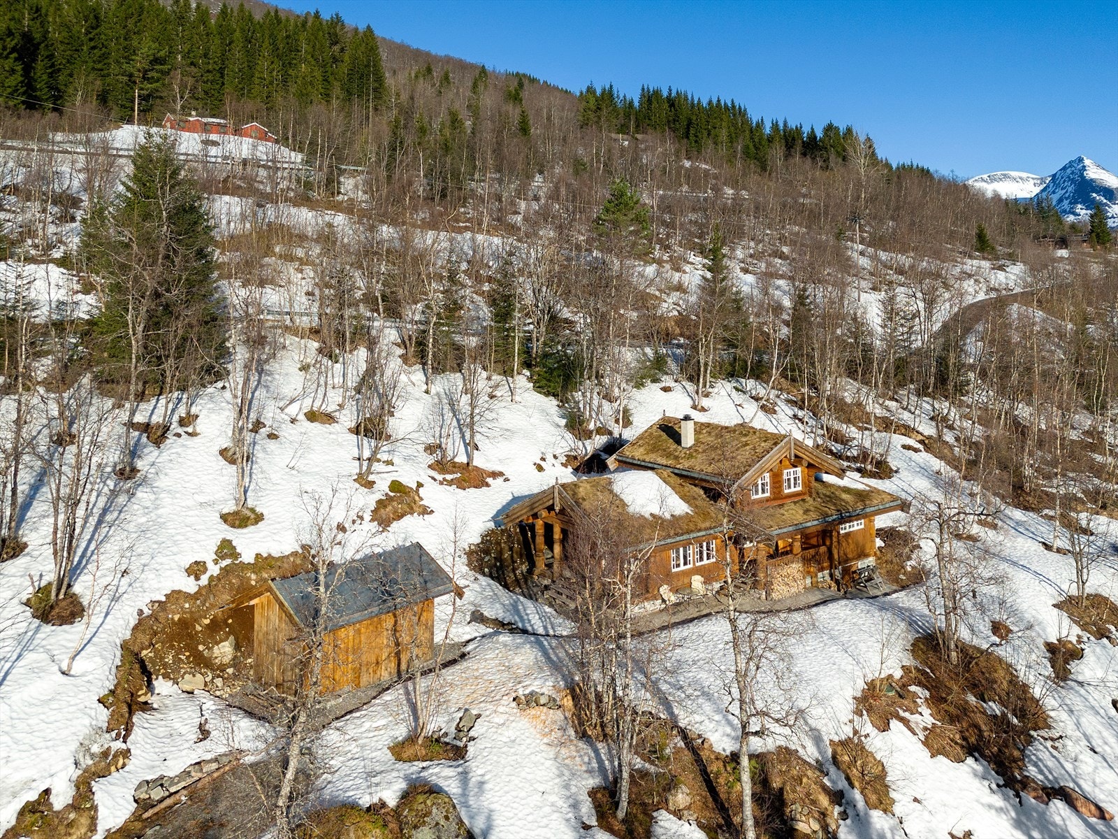 Dronefoto Galleribilde