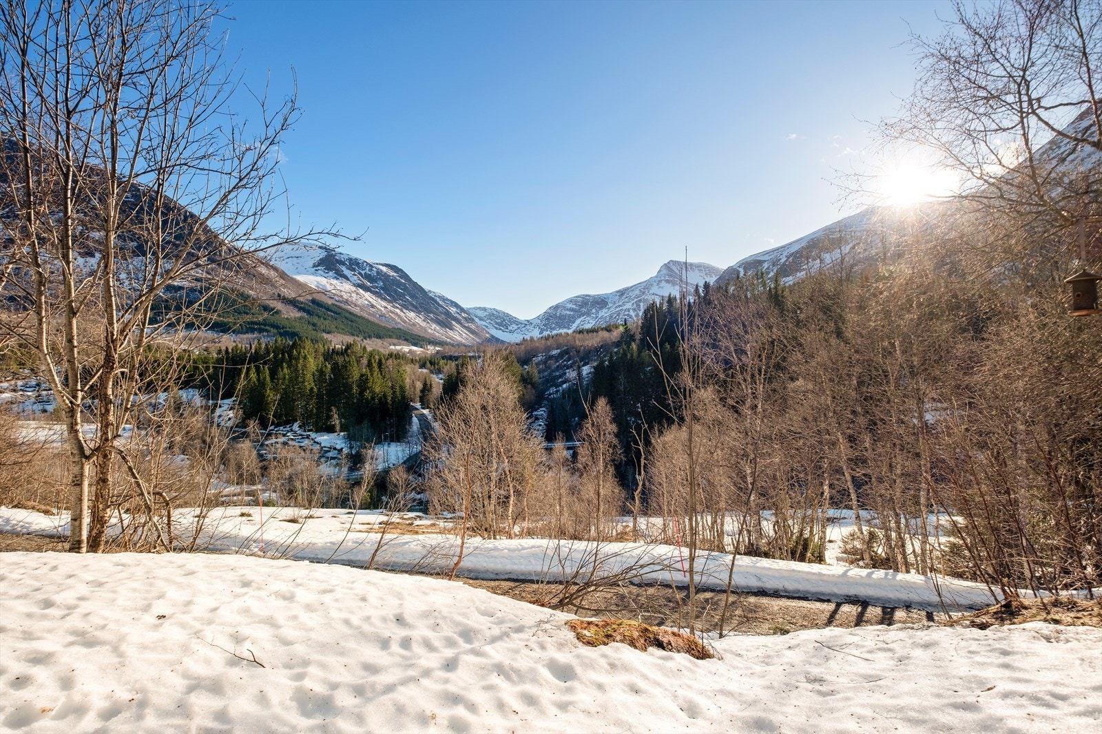 Uteområdet Galleribilde