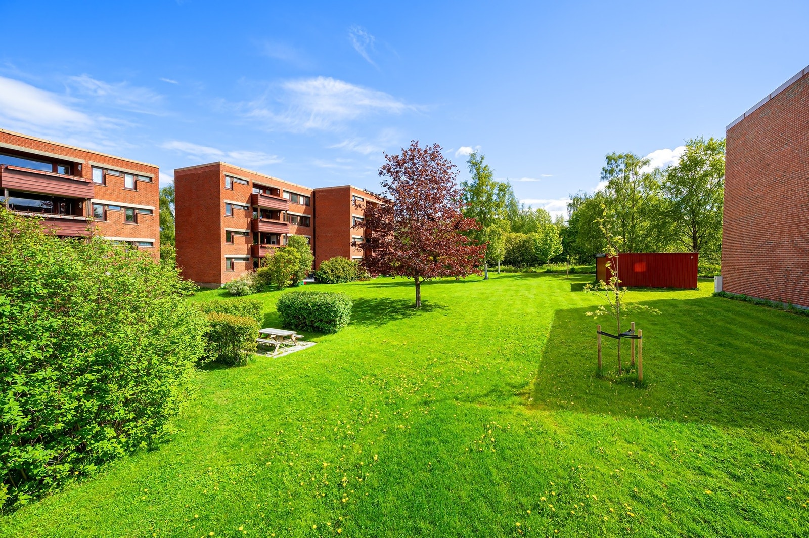 Flotte fellesarealer som er hyppig i bruk av beboeren i borettslaget. Det er også rikelig med parkeringsplasser. Galleribilde