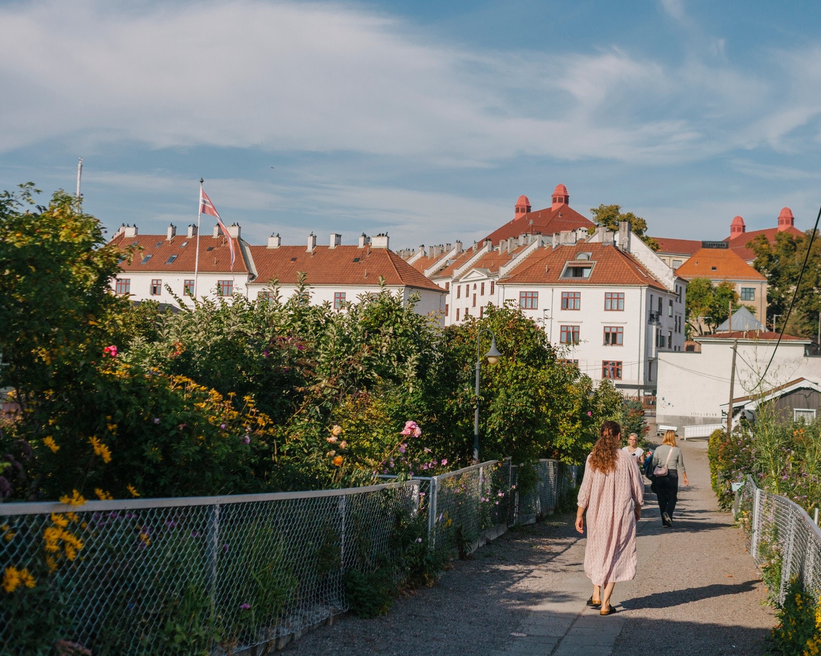 Idylliske Rodeløkken kolonihager er nærmeste nabo. Her finnes bla. Rodeløkkens Kafé som serverer nystekte vafler i helgene, stort mingleområde på toppen ved felleshuset med pergola og flere benker. Galleribilde