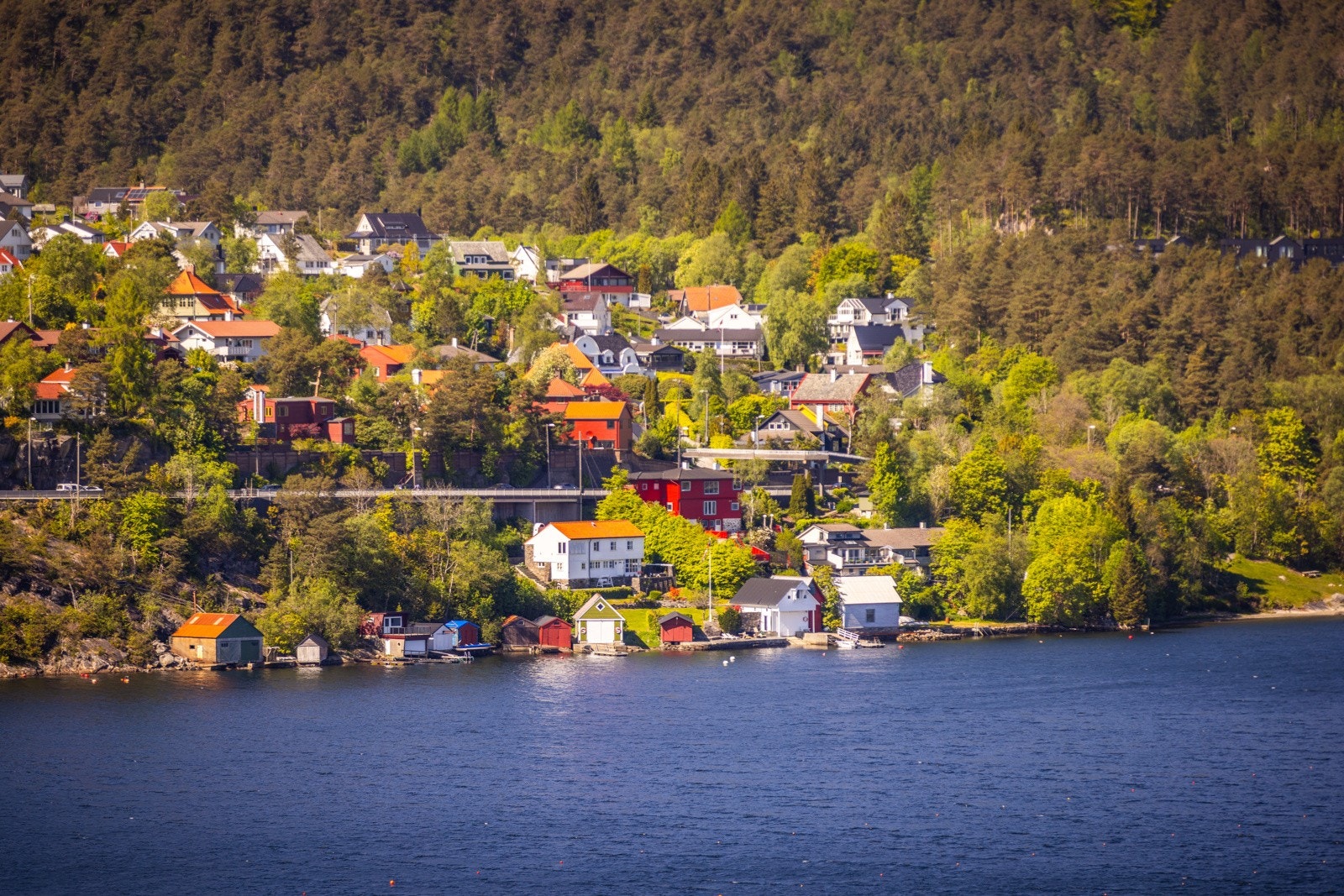 En sjelden anledning som bør oppleves! Galleribilde