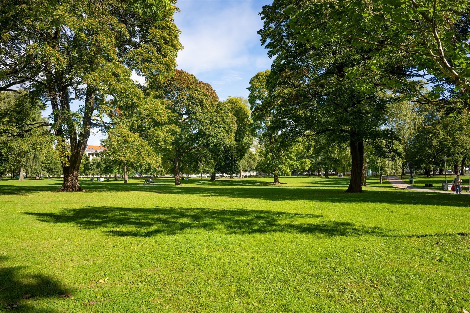 Flotte parker finnes også rett i nærheten, bl.a. Sofienbergparken som du finner rett utenfor døren. For øvrig kort vei til trehusidyllen på Rodeløkka og Botaniske Hage. Galleribilde