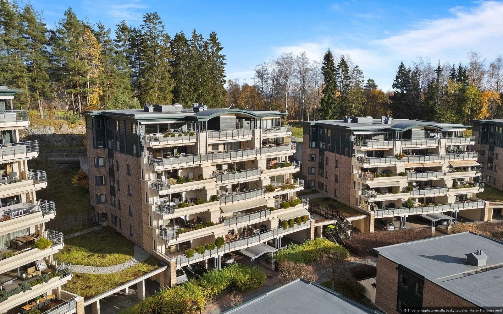 Sameiet Galleribilde