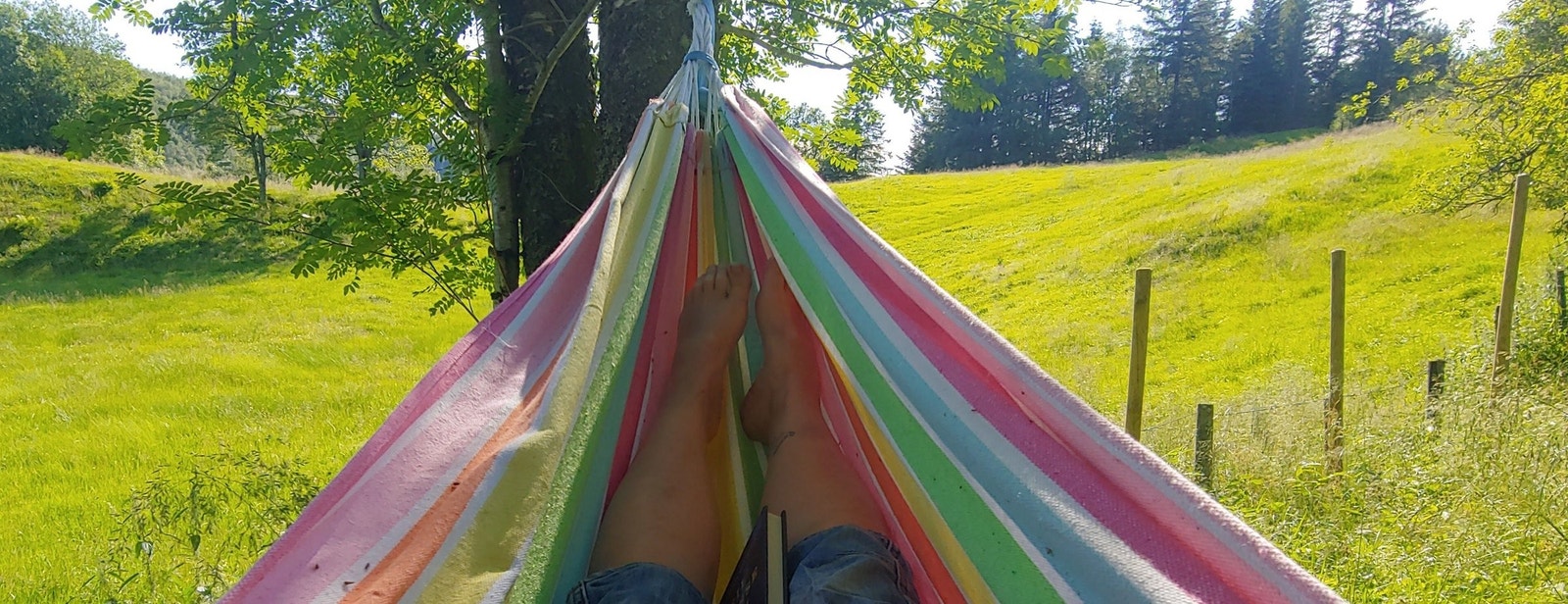 Stillheten bare avbrutt av fuglekvitter og sildrende bekk. Galleribilde