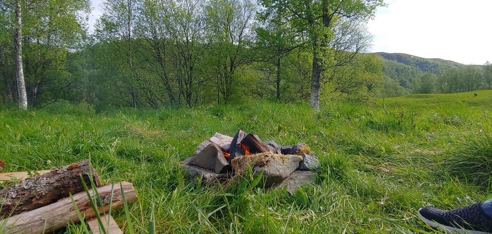 Bålplassen vår ved bekken. Galleribilde