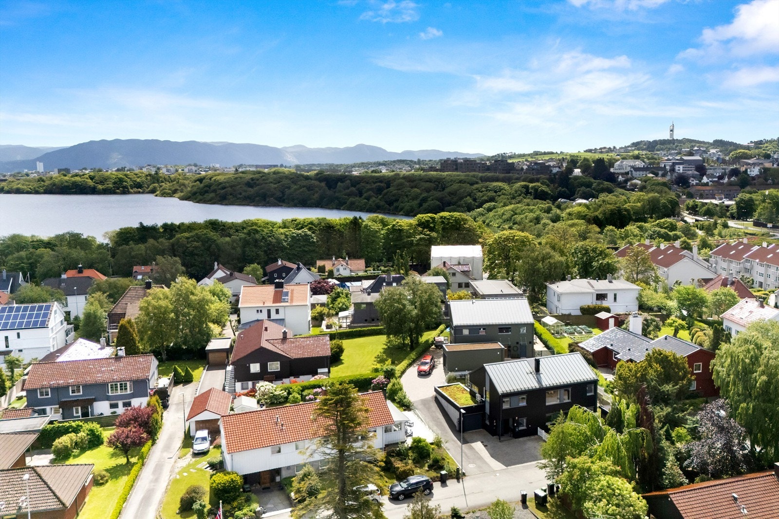 Områdefoto Galleribilde