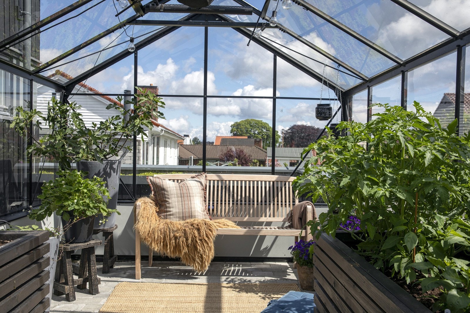 Påkostet drivhus med innlagt strøm og vann Galleribilde