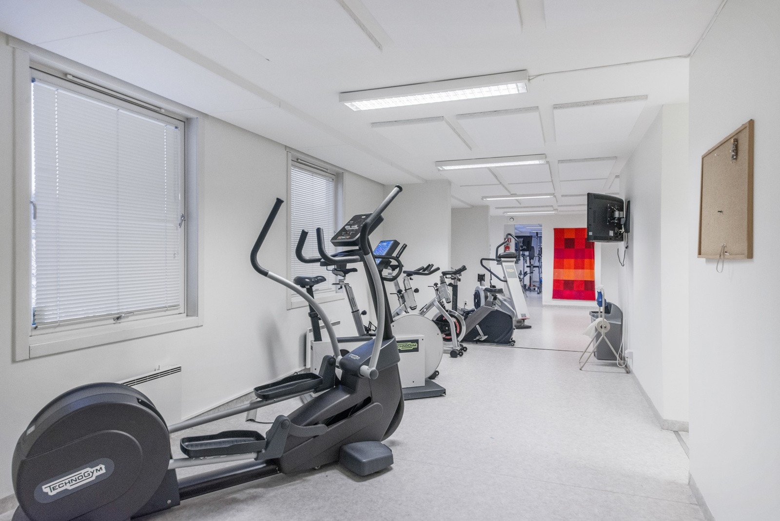 Eget treningsrom i borettslaget. Galleribilde