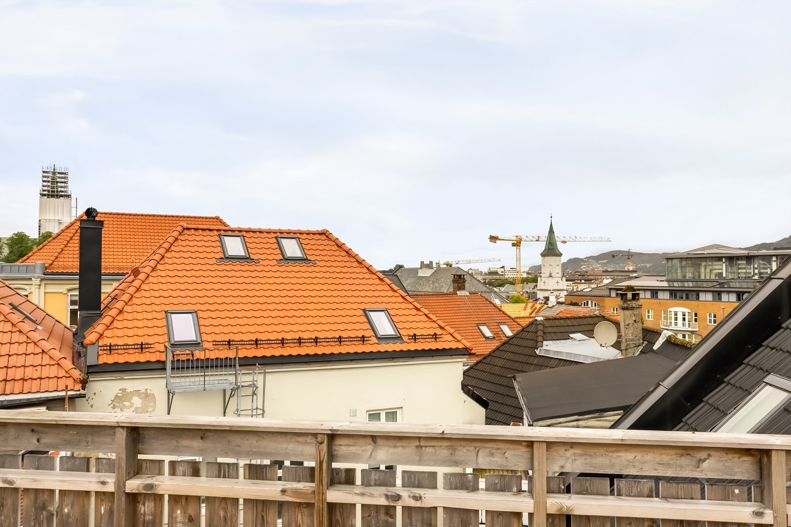 Fin 360 utsikt. Galleribilde