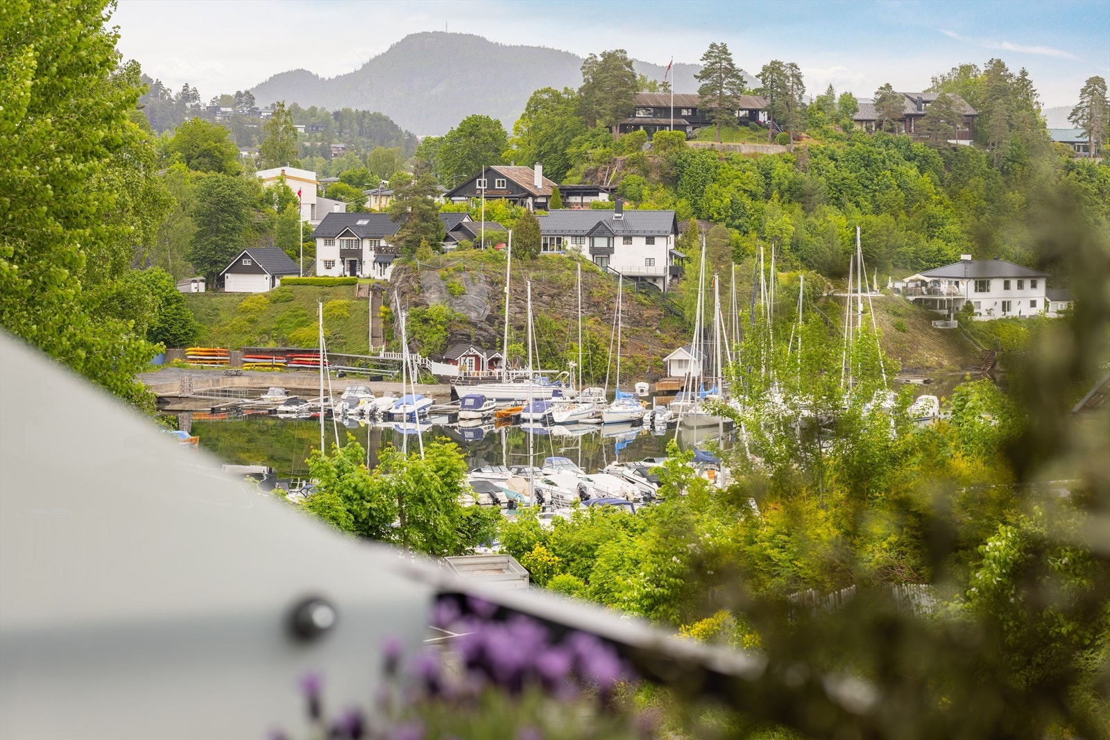 Flott utsikt. Galleribilde