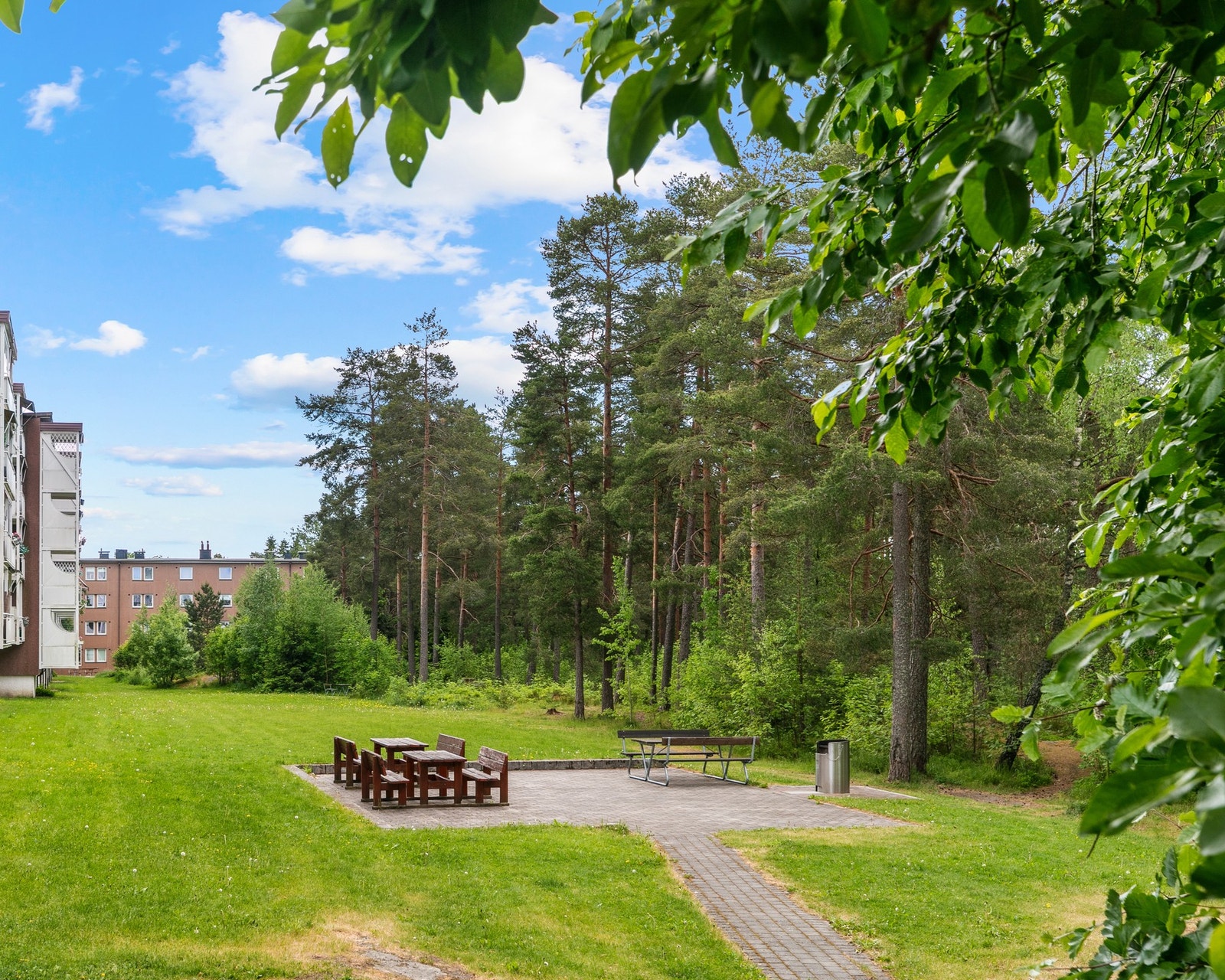 Pent opparbeidet grøntområde rett utenfor blokken - med plen, trær og sitteplasser i rolige omgivelser. Galleribilde