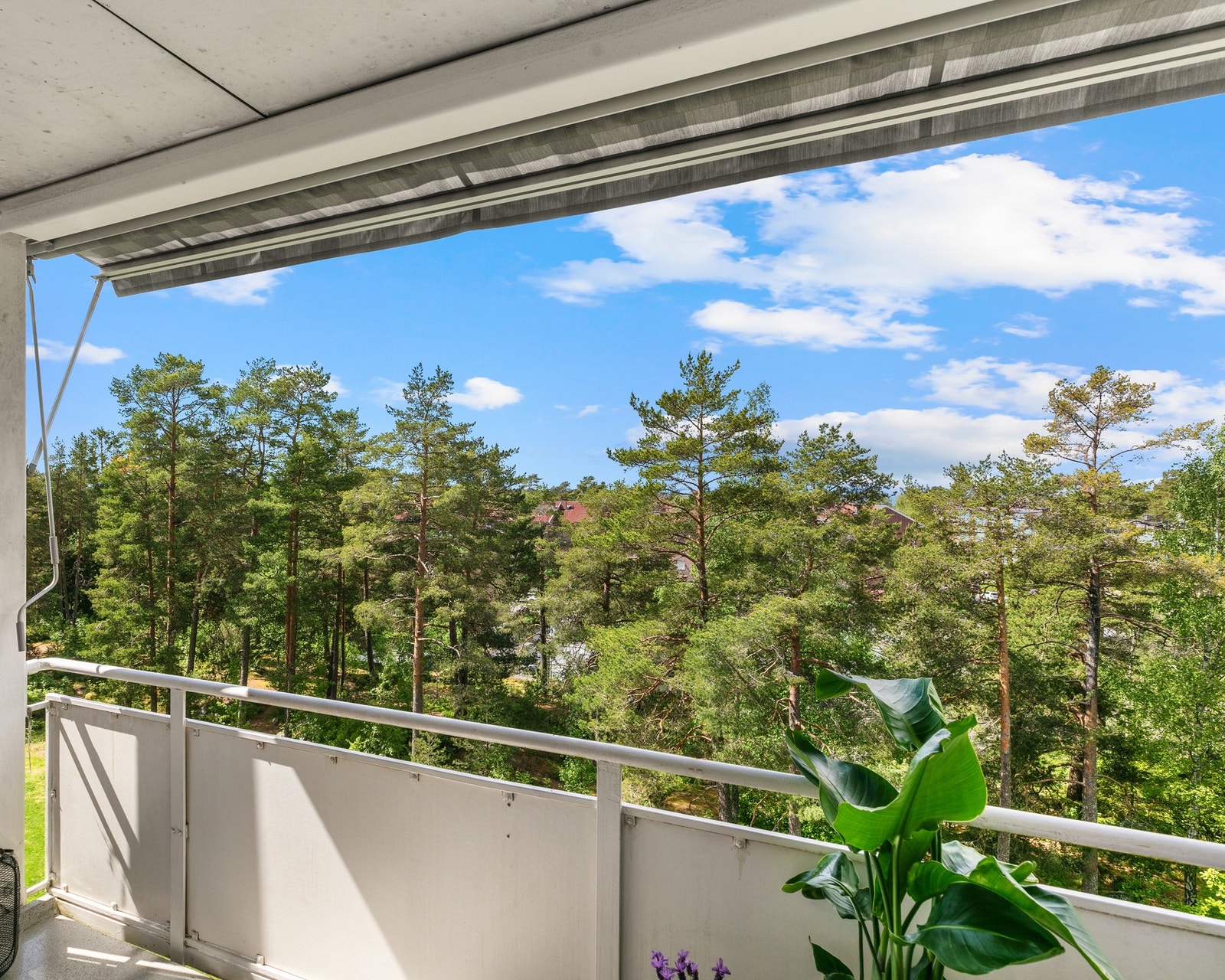 Den vestvendte balkong har fri utsikt mot grønt og frodig fellesområde. Galleribilde