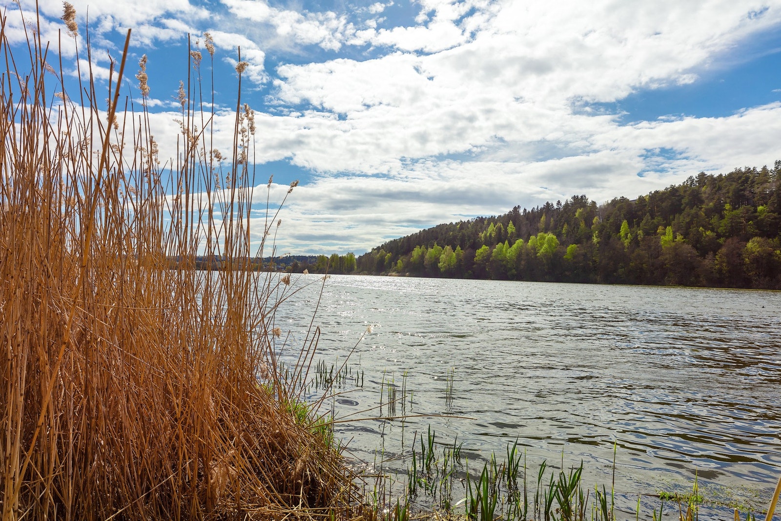Østensjøvannet byr på naturskjønne turstier og et yrende dyreliv. Galleribilde