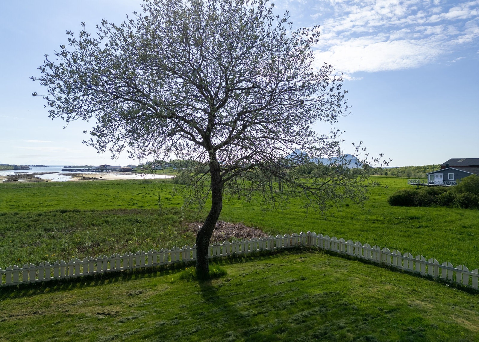 Utsikten. Galleribilde