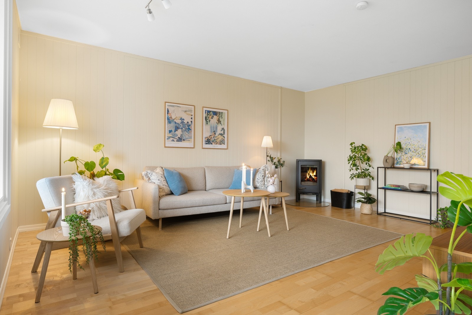 Mange vil nok sette stor pris på å ha mulighet for oppvarming med vedfyring i de kalde vintermånedene. Galleribilde