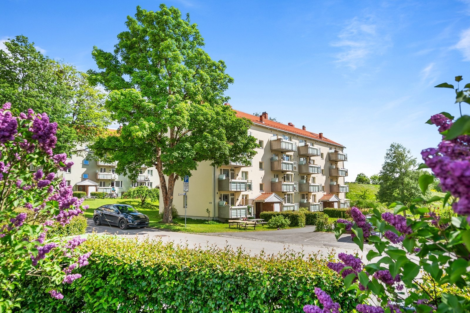 Fasade. Galleribilde