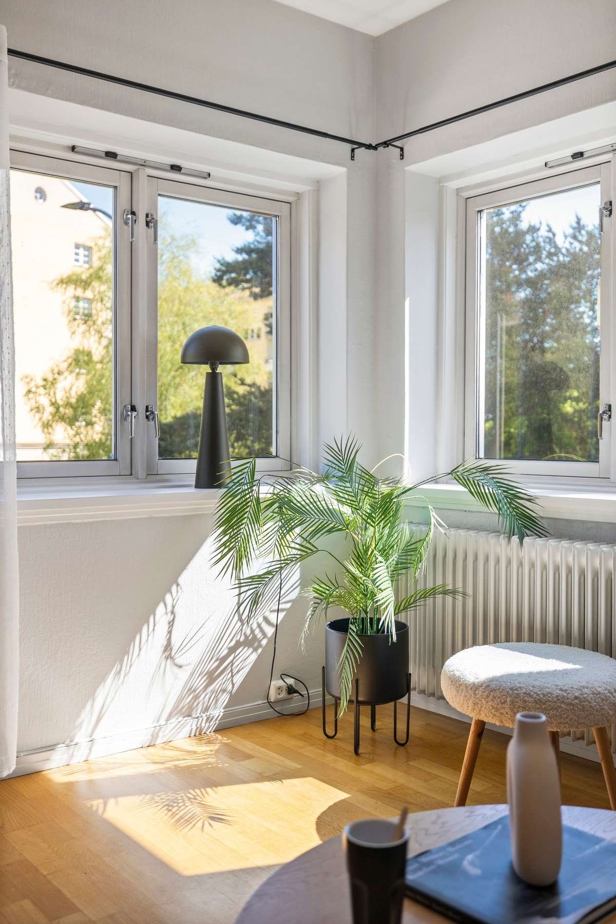 Store vindusflater! Galleribilde