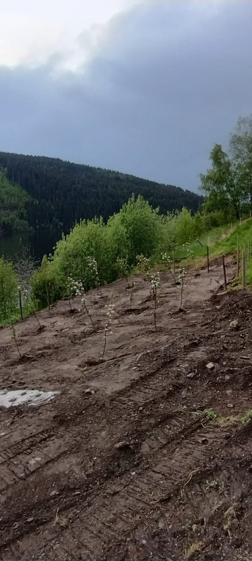 Det er mulighet for å leie areal til kolonihage like ved tomtene. De som kjøper tomter i feltet har også fri tilgang til å plukke epler fra epletrær i området. Galleribilde