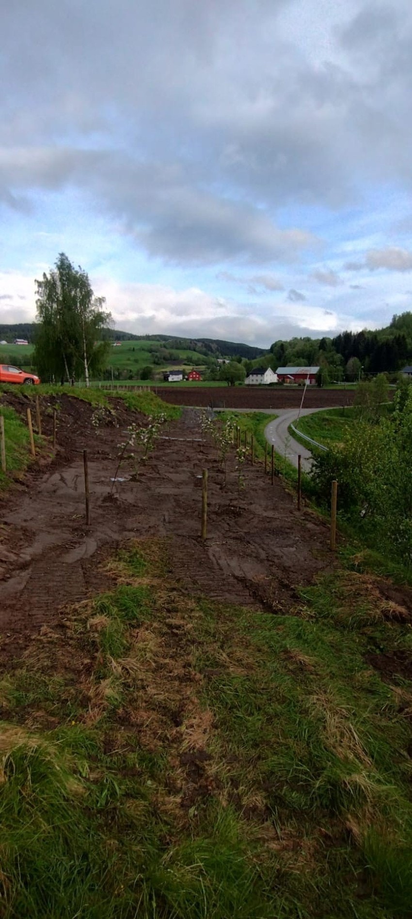Det er mulighet for å leie areal til kolonihage like ved tomtene. De som kjøper tomter i feltet har også fri tilgang til å plukke epler fra epletrær i området. Galleribilde