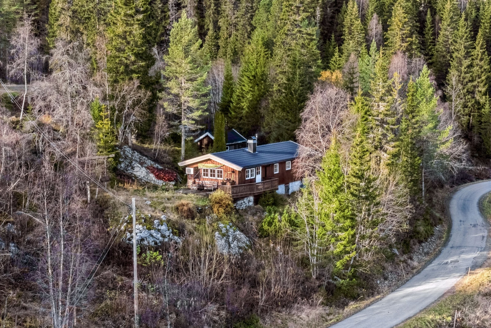 Gode solforhold. Galleribilde