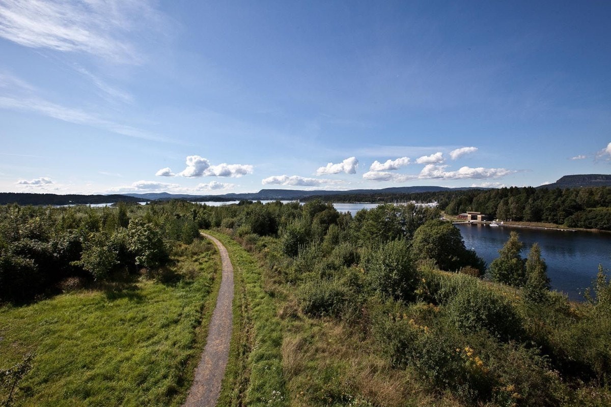 Områdebilde. Galleribilde