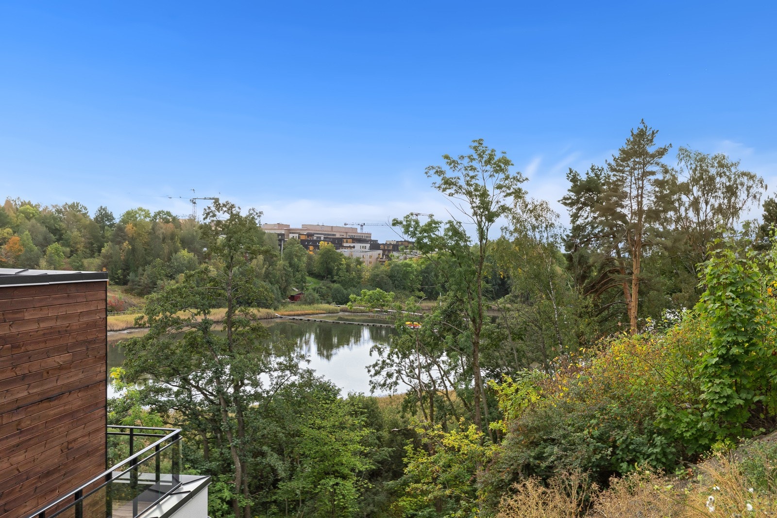 Område. Galleribilde