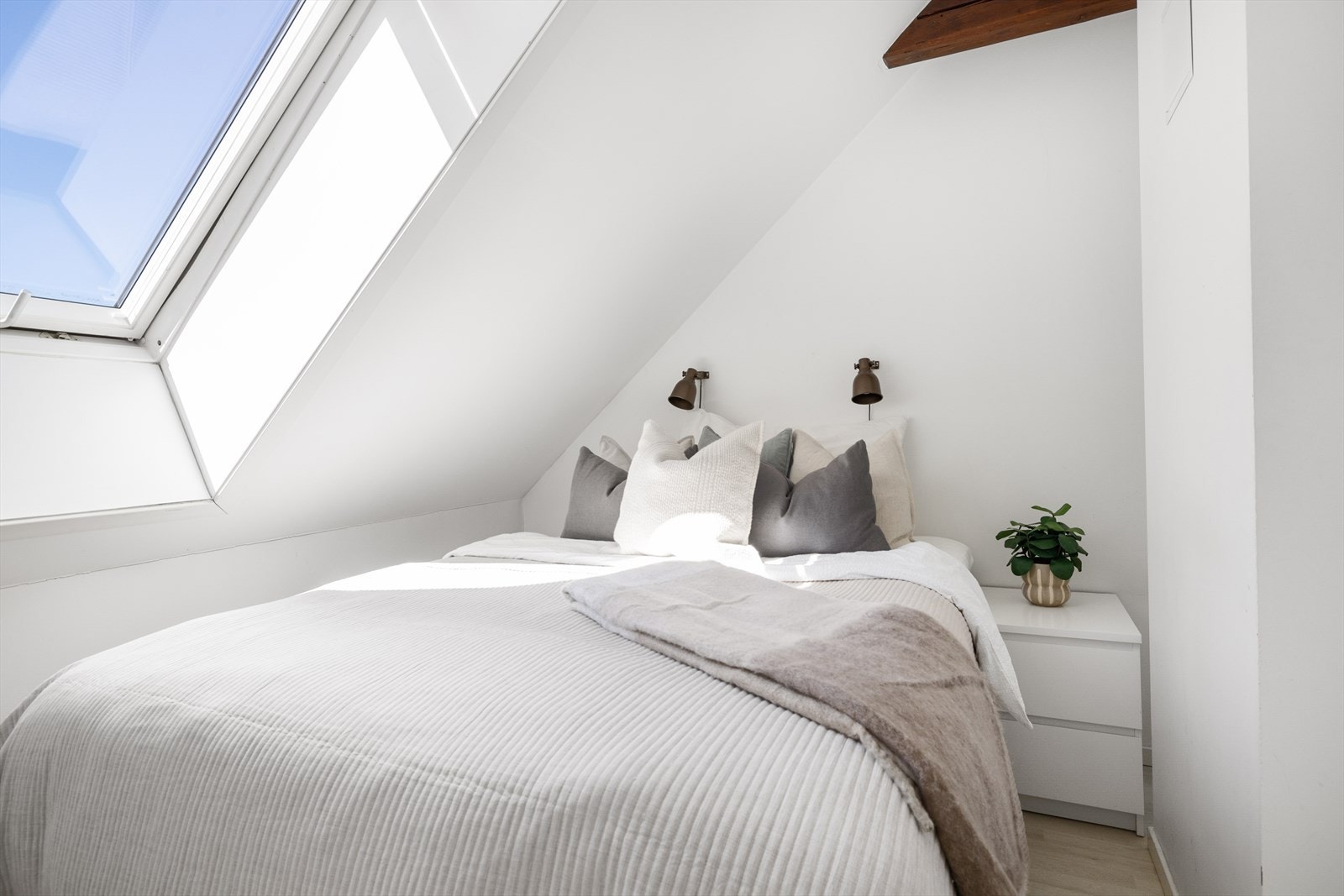 Takvindu med godt lysinslipp Galleribilde