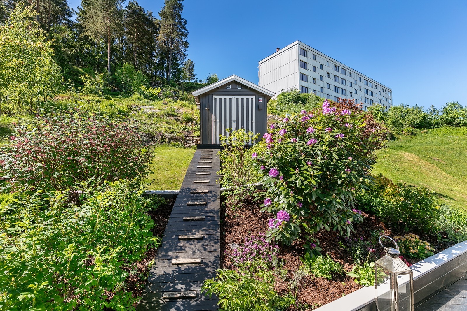 Flott beplantet hage. Galleribilde