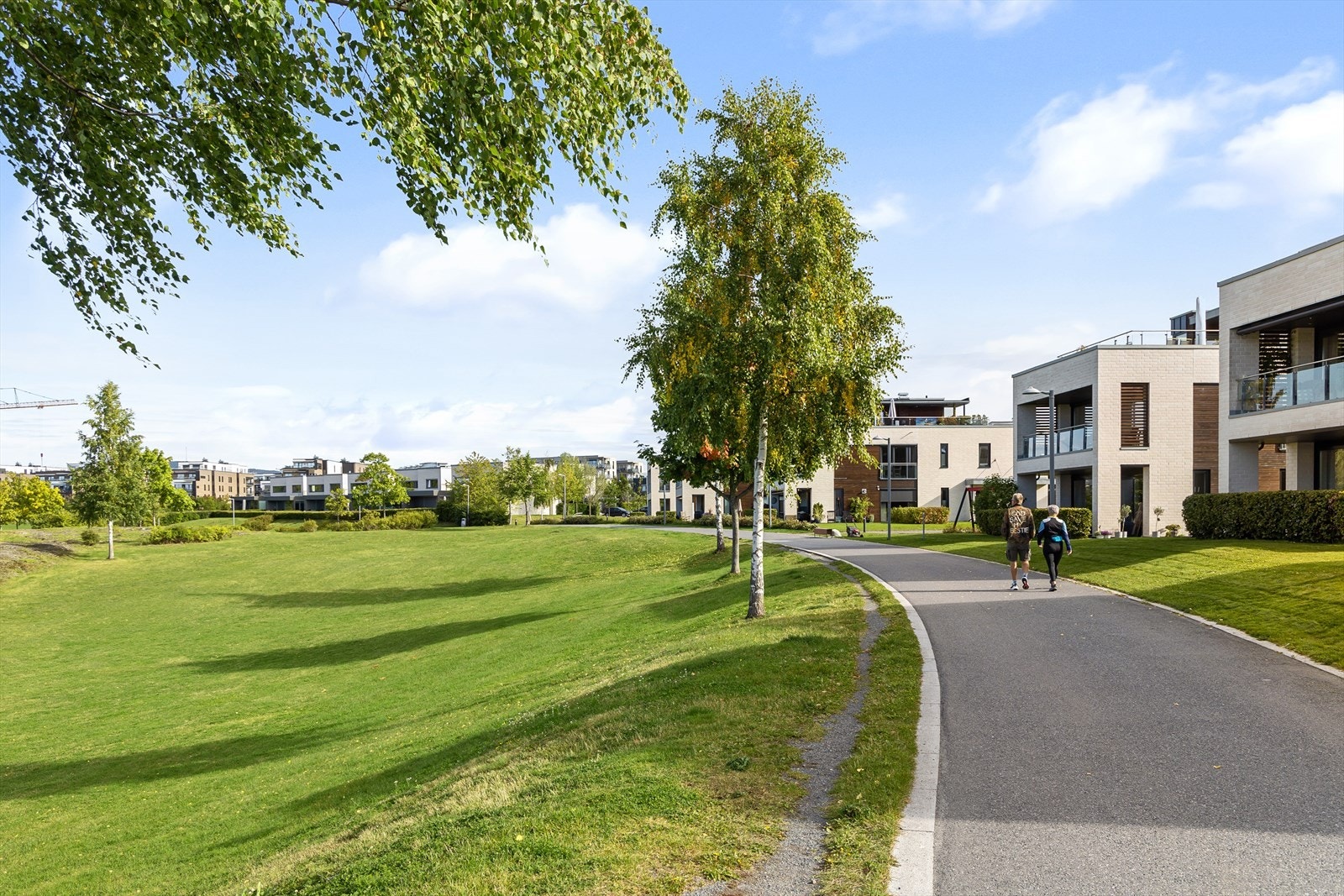 På fornebu er det store grøntområder og parkanlegg. Dette er fra gangveien mellom boligfeltet og stranden i Koksabukta. Galleribilde