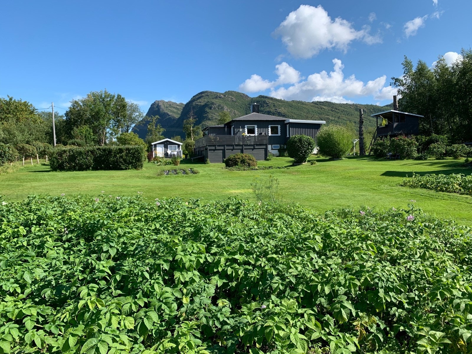 Hagedel Galleribilde