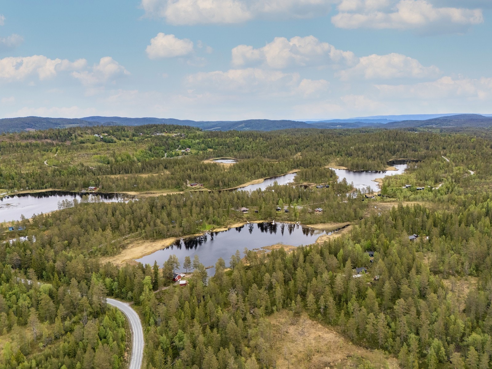 Velkommen til visning! Galleribilde