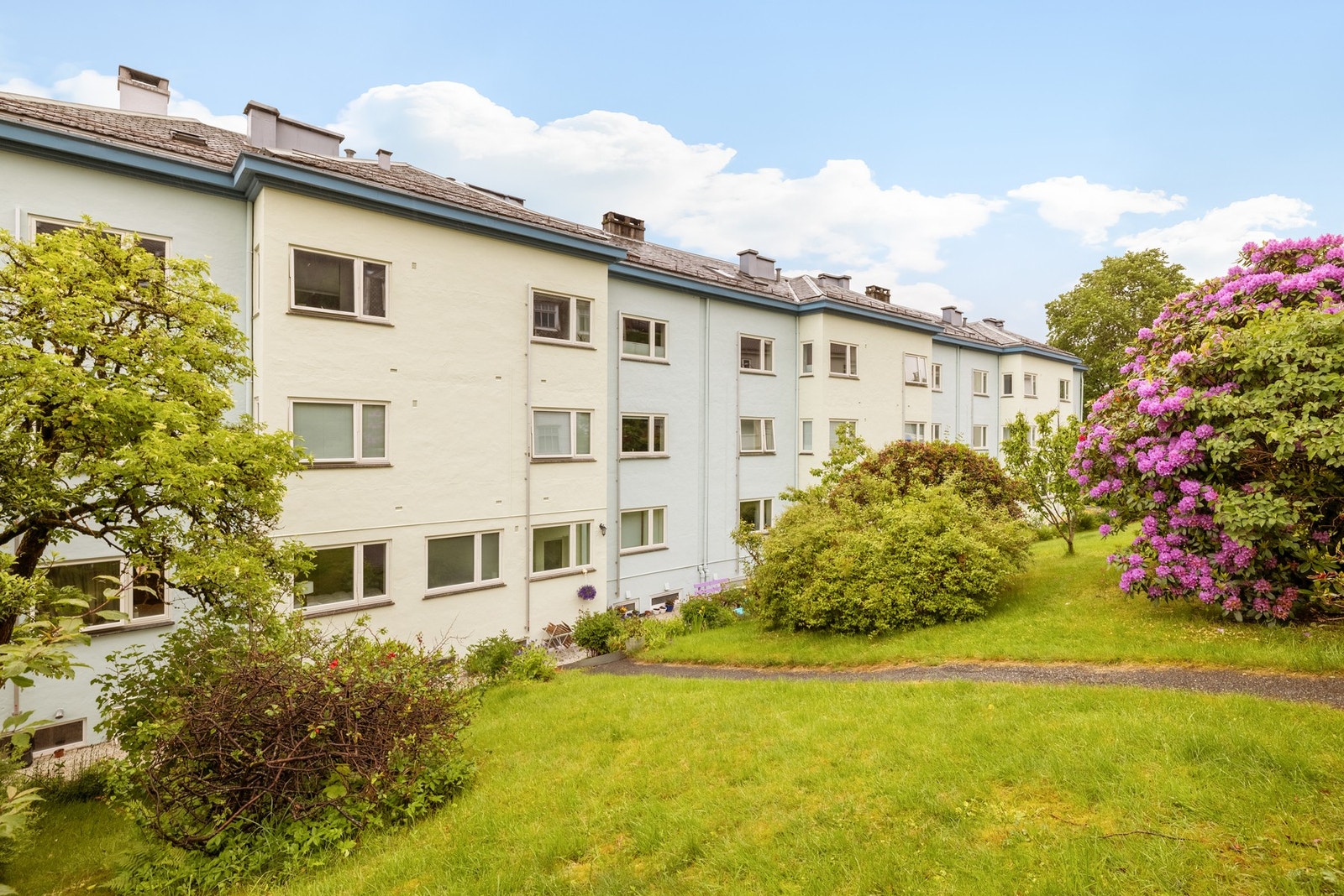 Stor felles hage på baksiden av blokken. Galleribilde