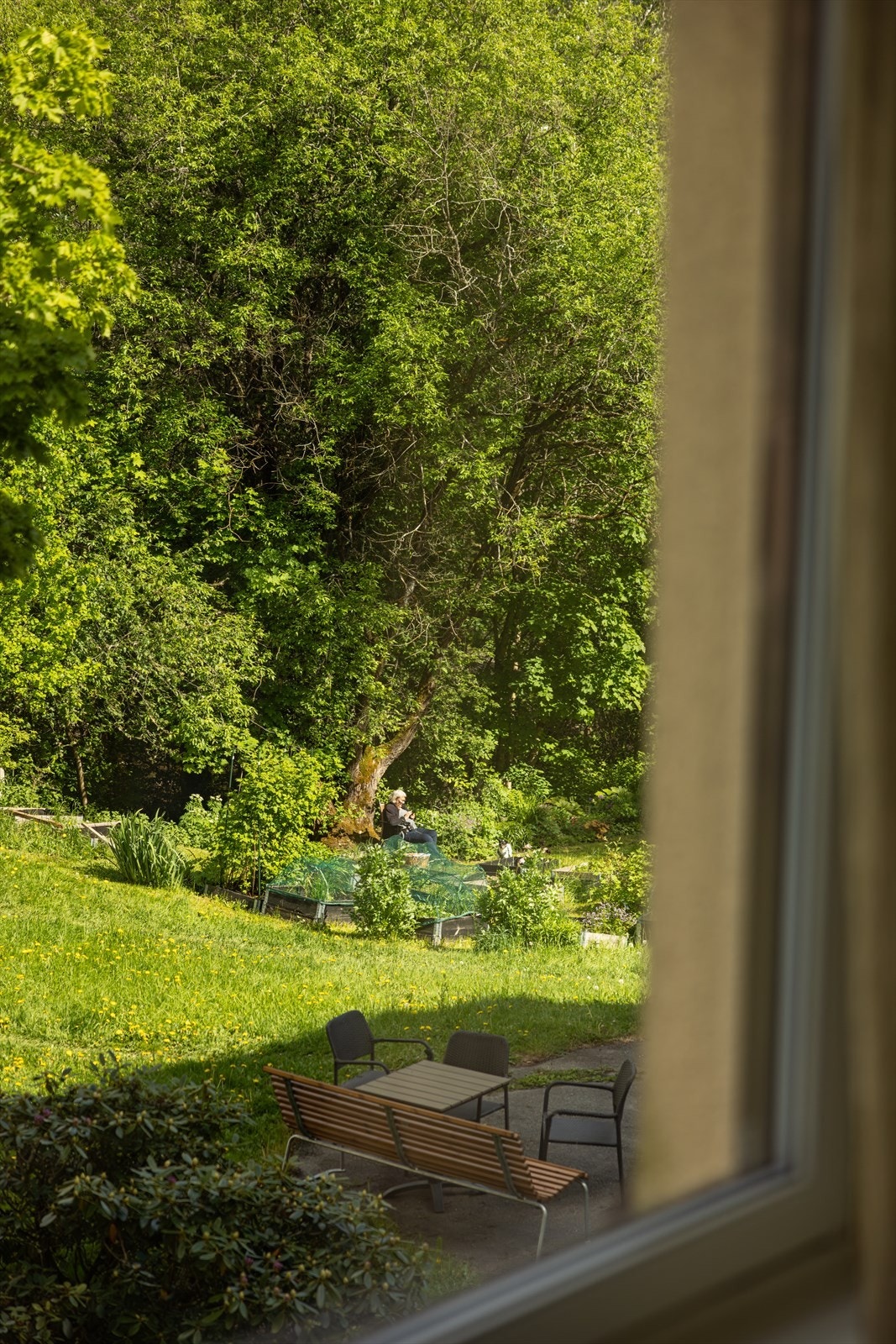 Utsyn mot en hyggelig, felles uteplass i borettslaget. Med benker, beplantning og plantekasser. Galleribilde