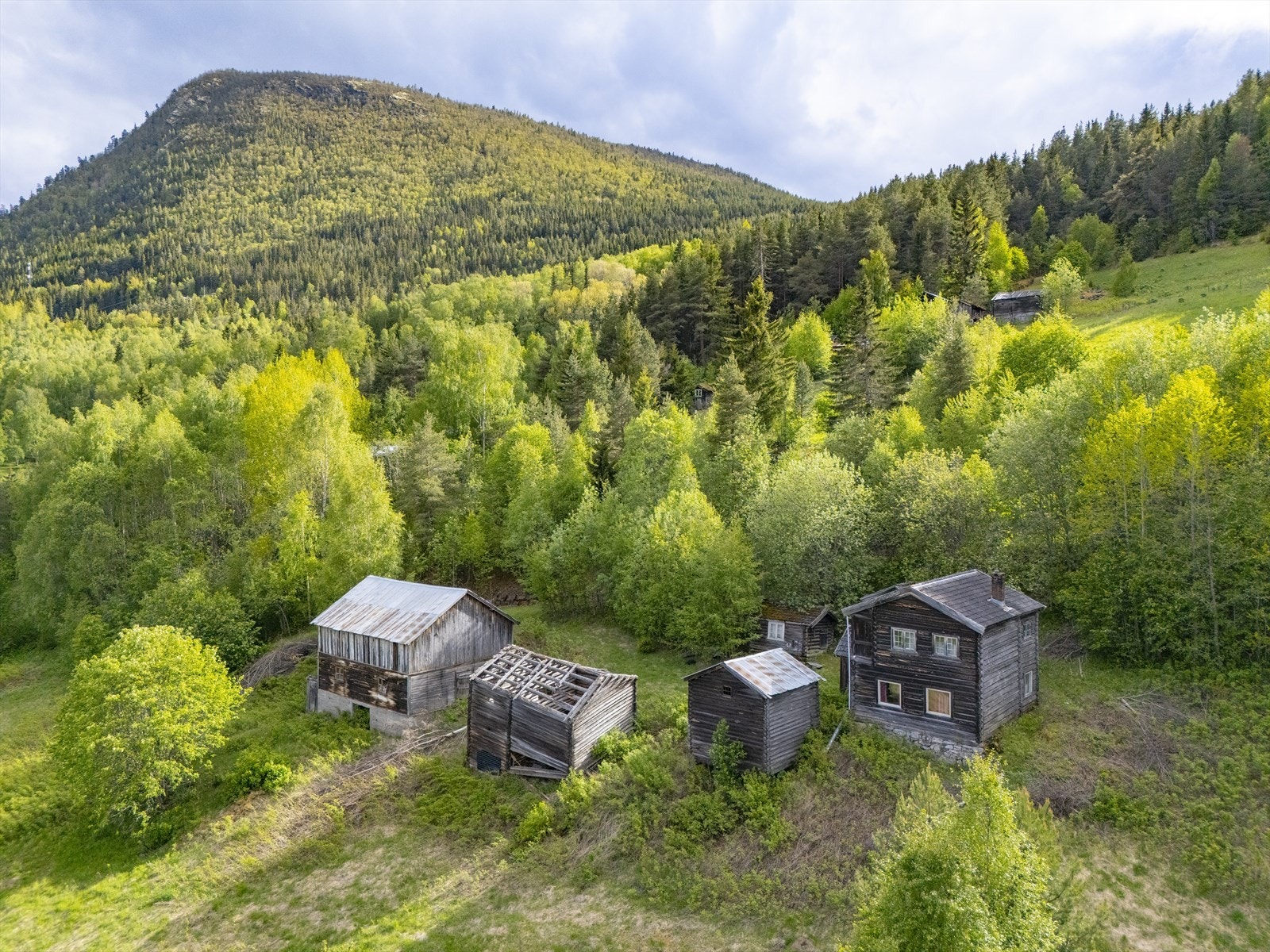 Velkommen til visning! Galleribilde