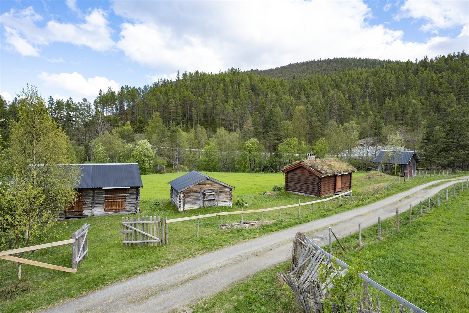 Trivelig setertun på toppen av Brekka. Galleribilde
