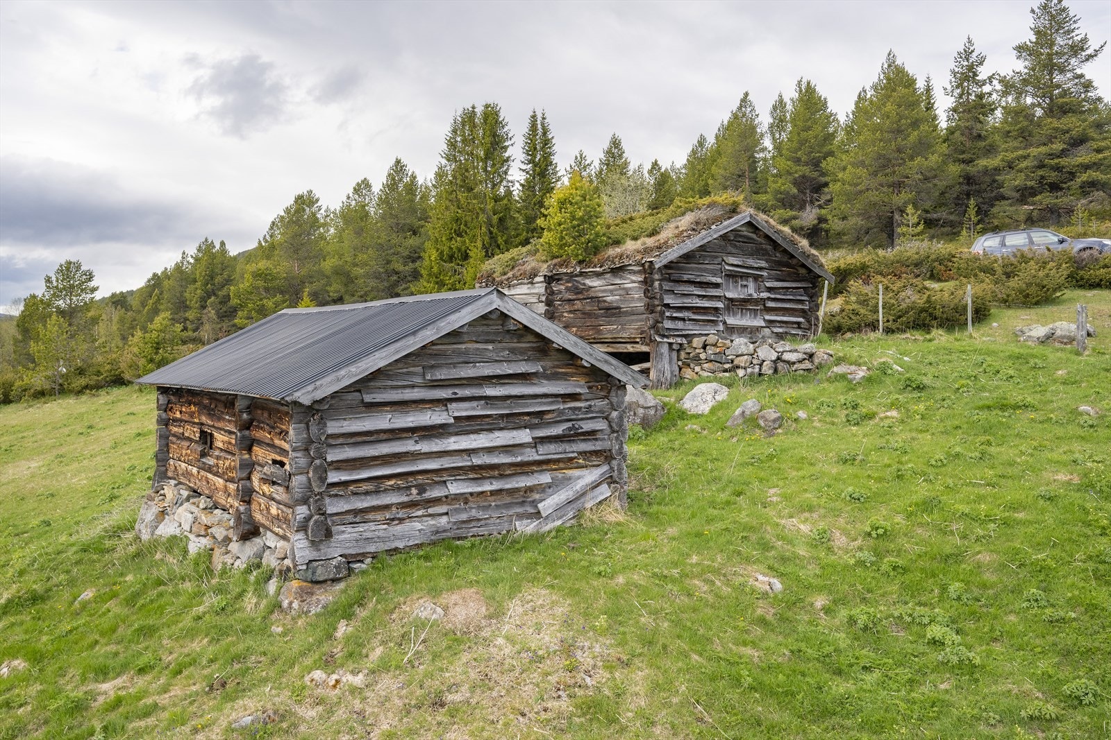 Rester etter seterliv. Galleribilde