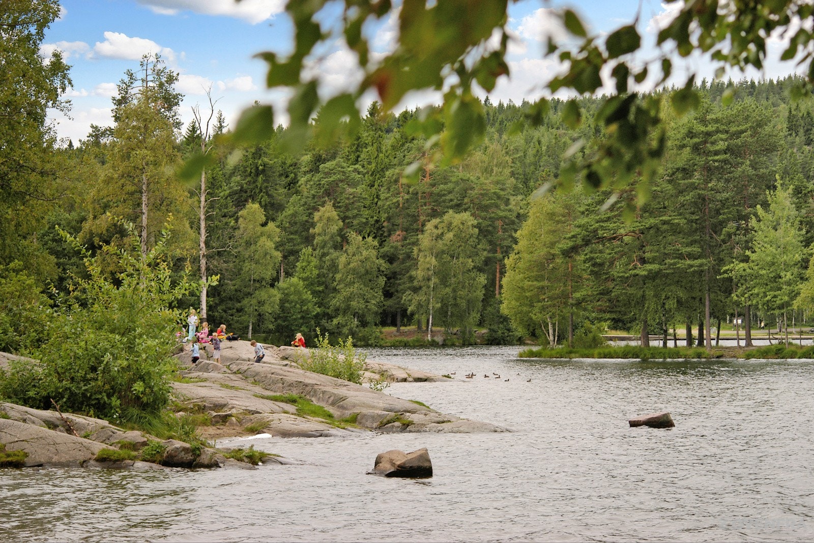Oslomarka byr på flotte naturopplevelser året rundt, og bare en kort kjøretur unna ligger idylliske Sognsvann - et populært turområde for både små og store Galleribilde