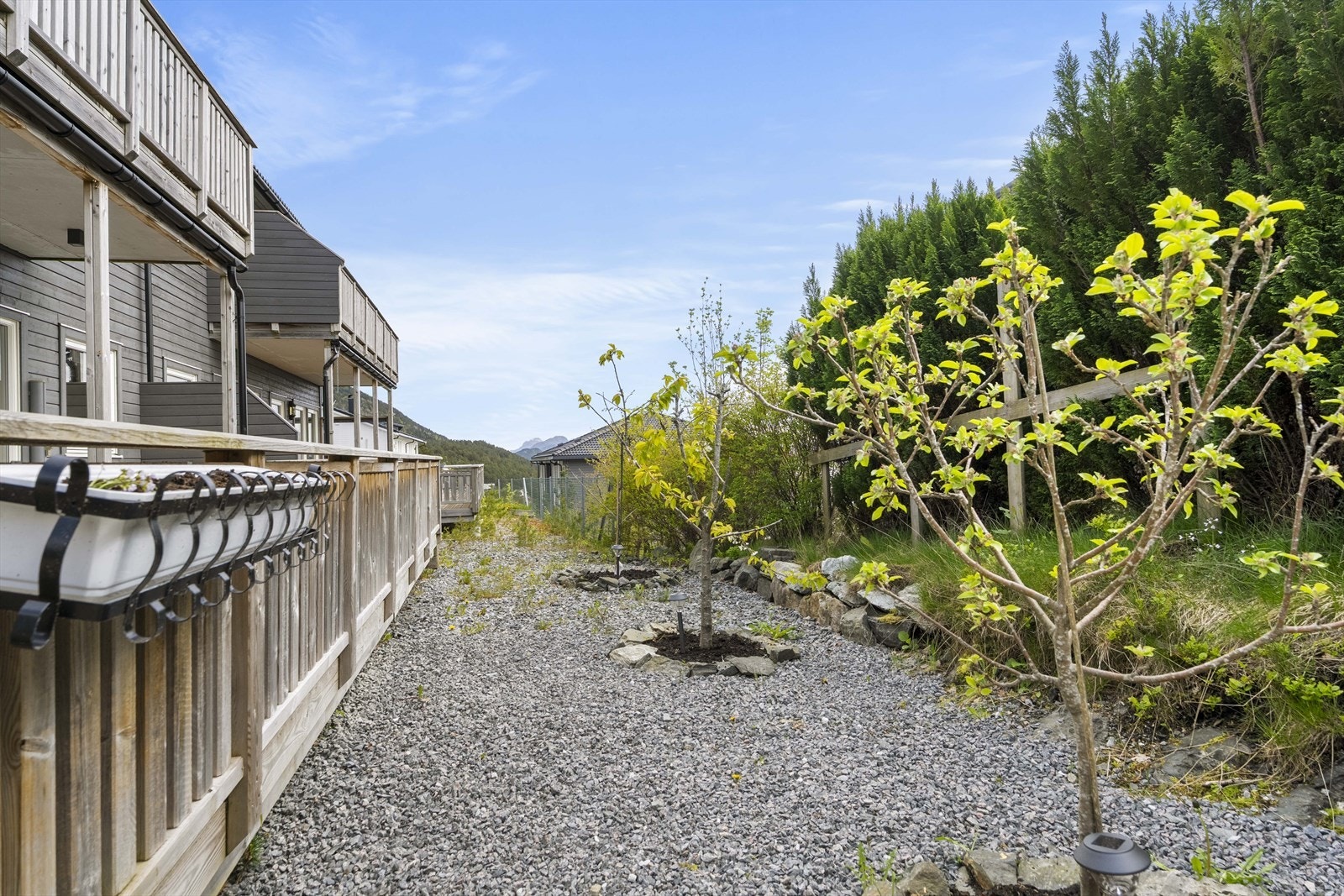 - Diverse beplantning utenfor terrasse - Galleribilde