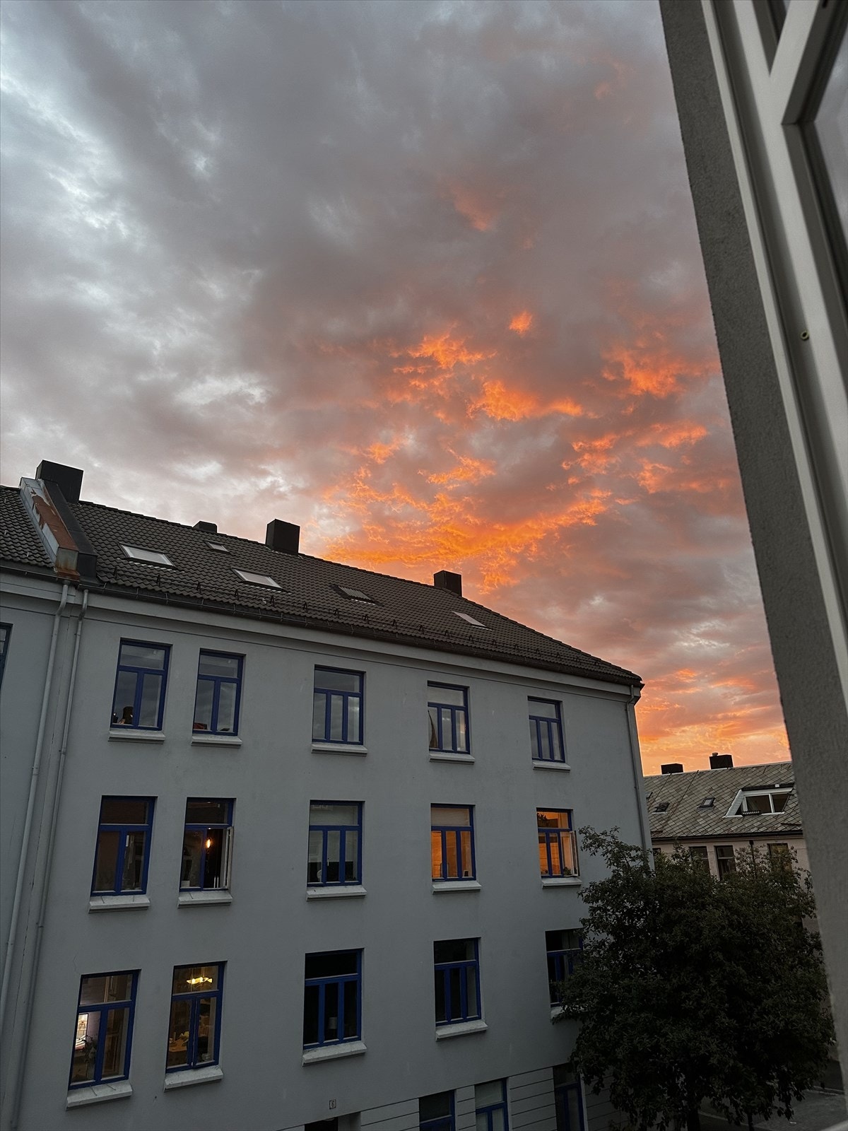 Bilde tatt av eier. Galleribilde