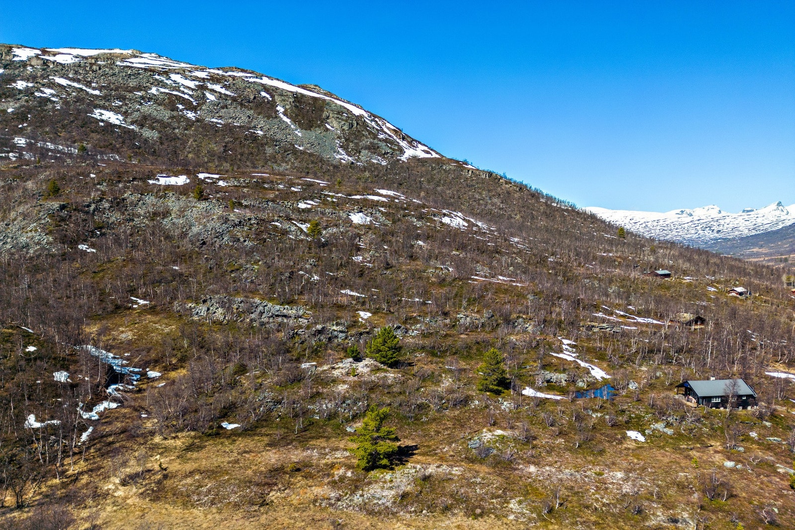 Områdebilde Galleribilde