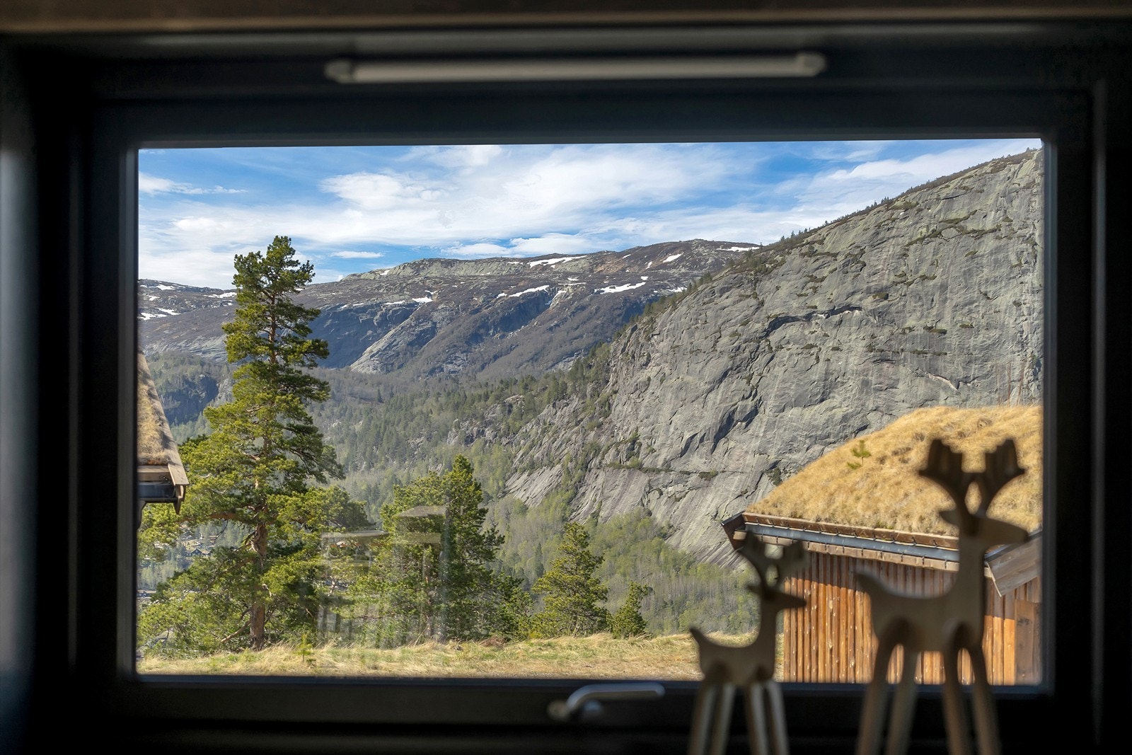 Nesten Elg i solnedgang:) Galleribilde