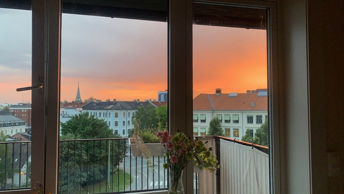 Nyt fine solnedganger (selgers bilde). Galleribilde