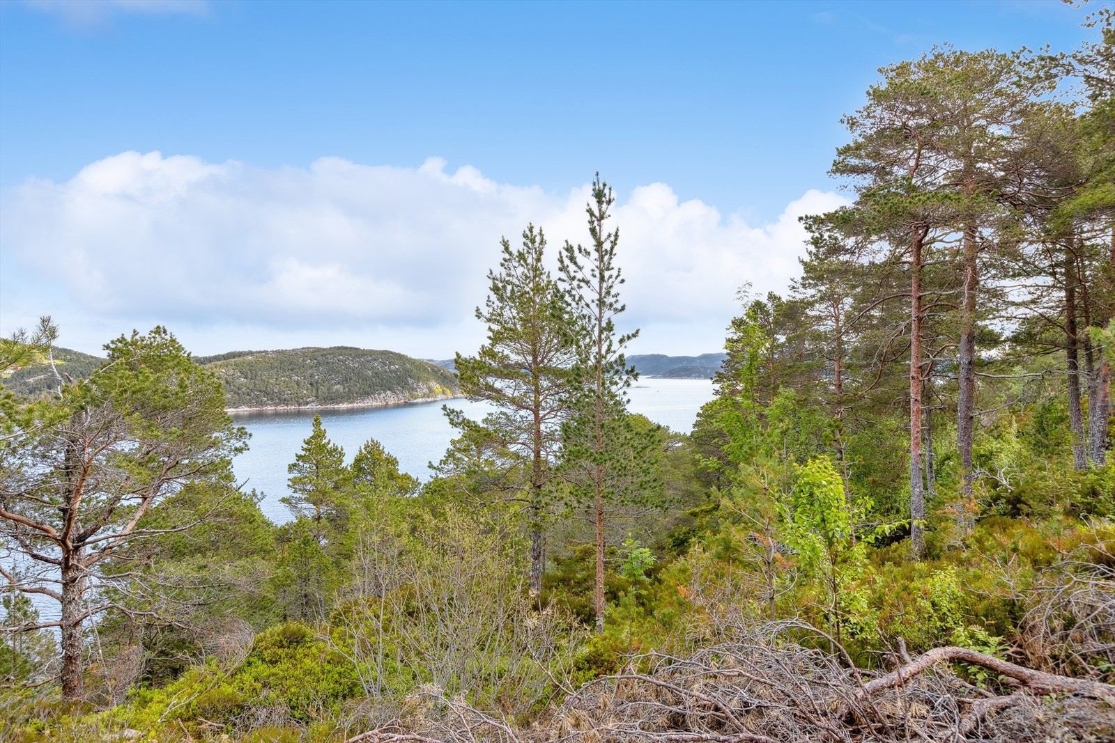 Fra tomten er det flott utsikt mot Stamnessundet og Hemnfjorden. Galleribilde