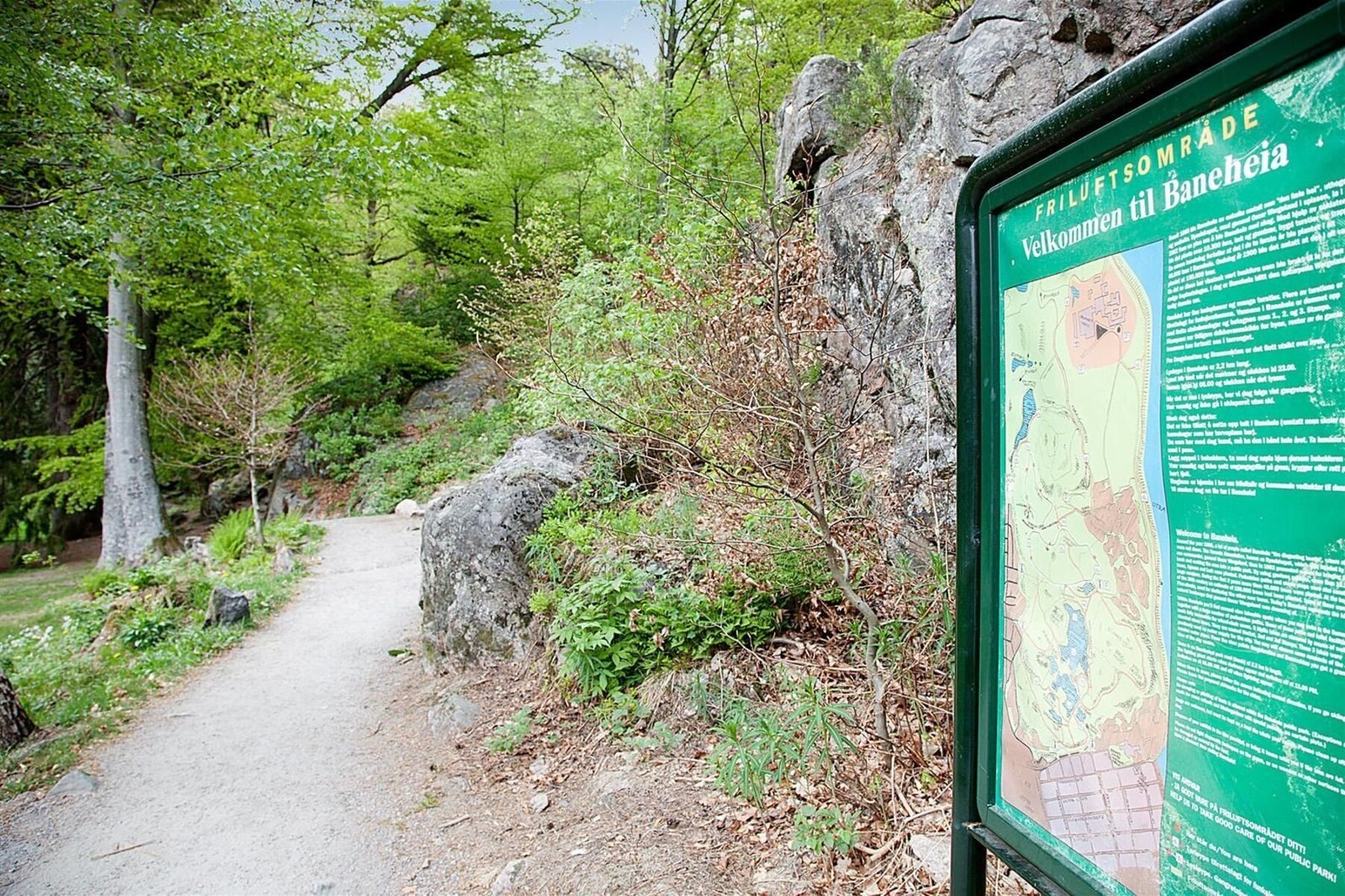 - Lund er kjent for sin nærhet til flere, flotte turområder | Her er avbildet av populære Baneheia - Galleribilde