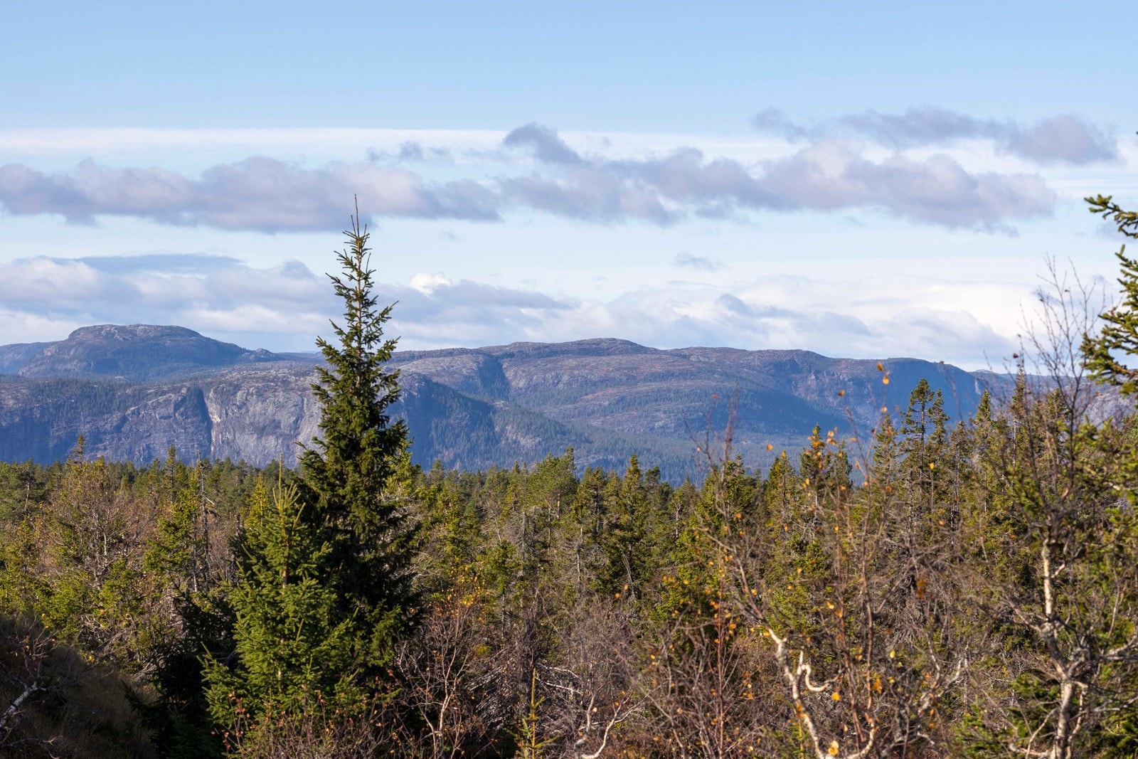 Stor og solrik eiertom (1567 kvm) | Bygg drømmehytta som vil ligge med fantastisk beliggenhet v/ skiløyper og skitrekk Galleribilde