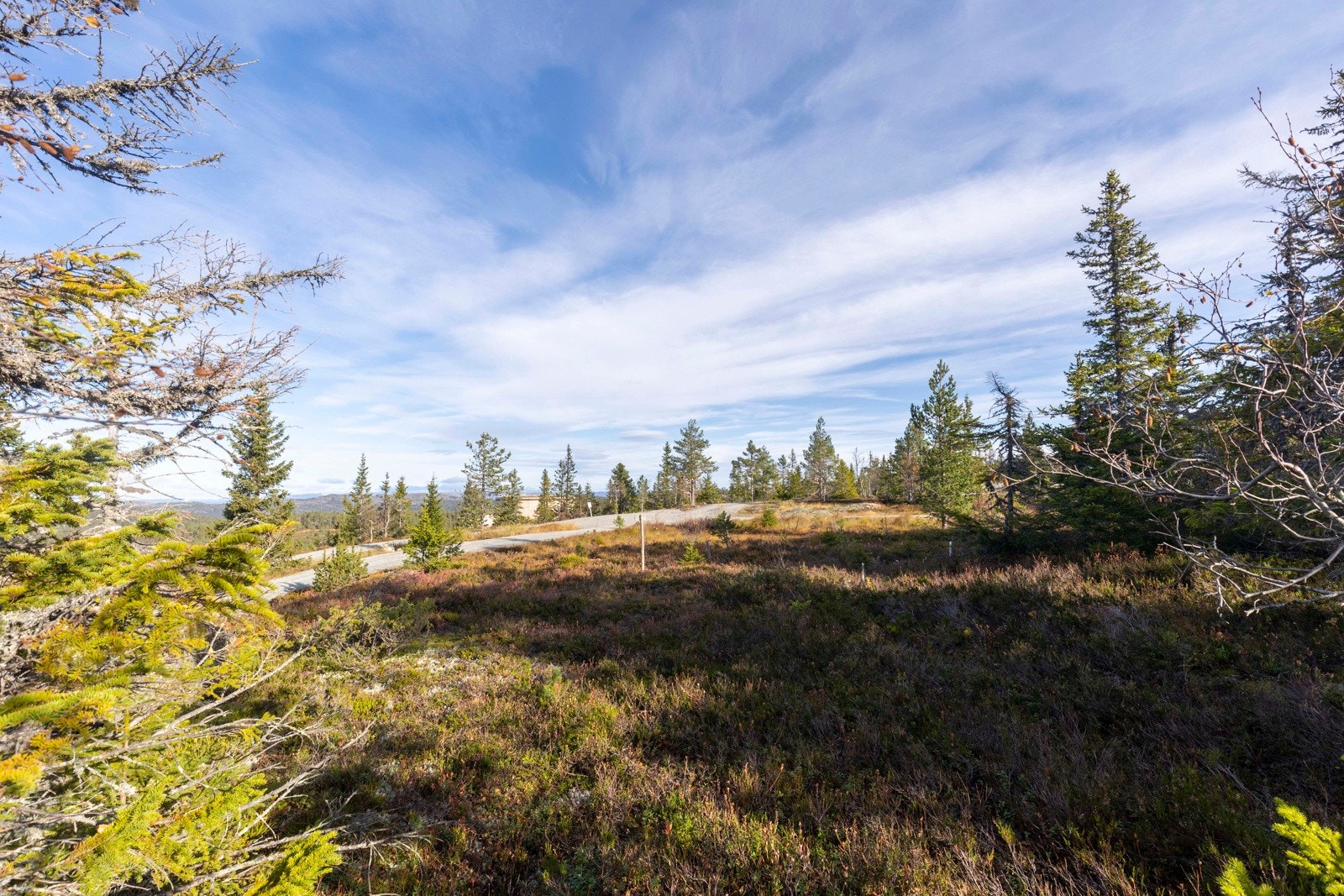 Stor og solrik eiertom (1567 kvm) | Bygg drømmehytta som vil ligge med fantastisk beliggenhet v/ skiløyper og skitrekk Galleribilde