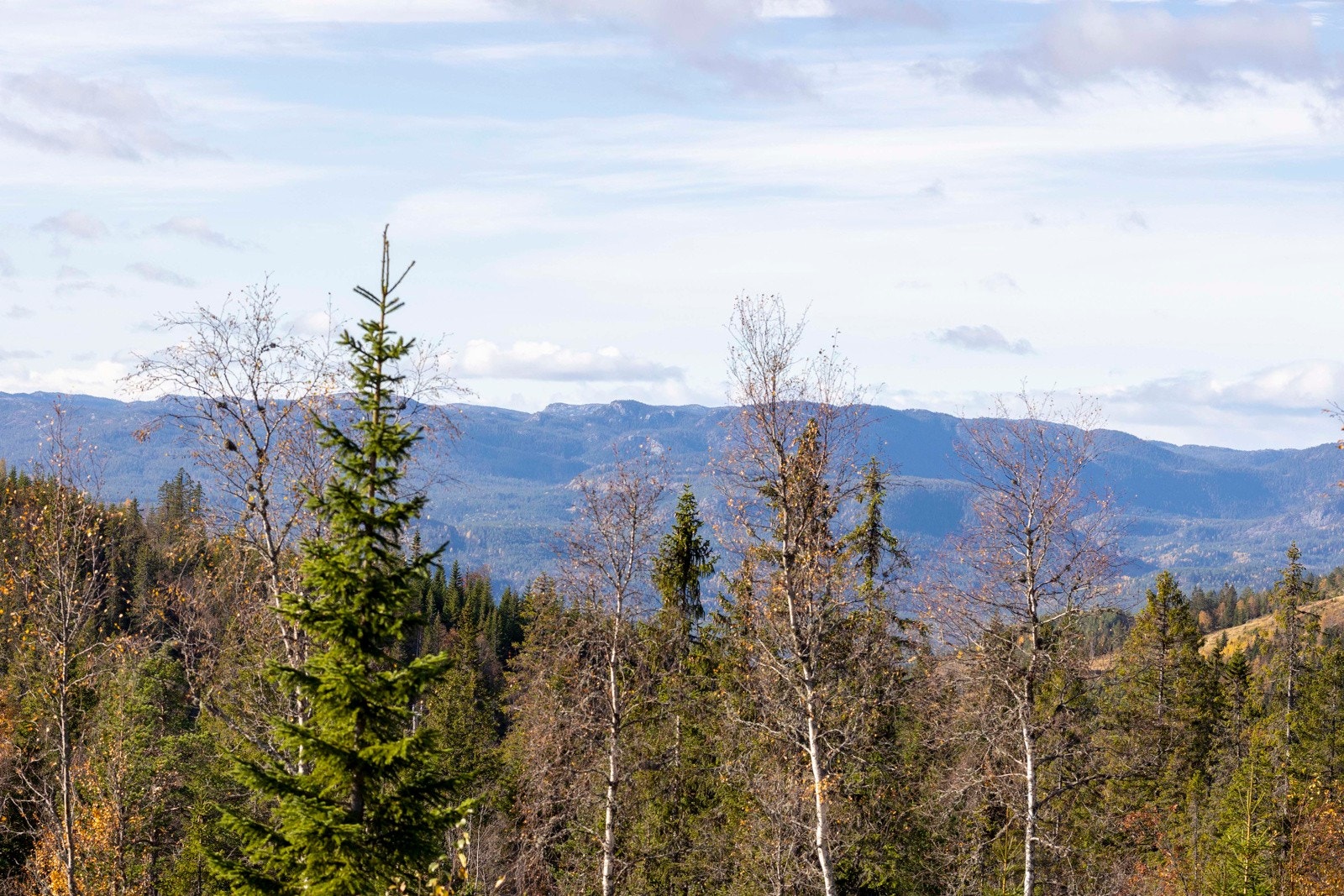 Stor og solrik eiertom (1567 kvm) | Bygg drømmehytta som vil ligge med fantastisk beliggenhet v/ skiløyper og skitrekk Galleribilde