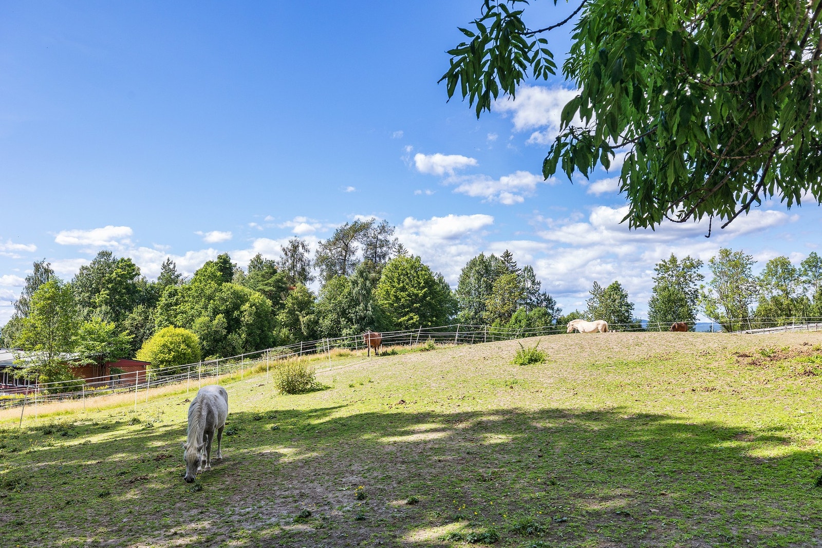 Det er kort vei til turstier og parker i området. Galleribilde
