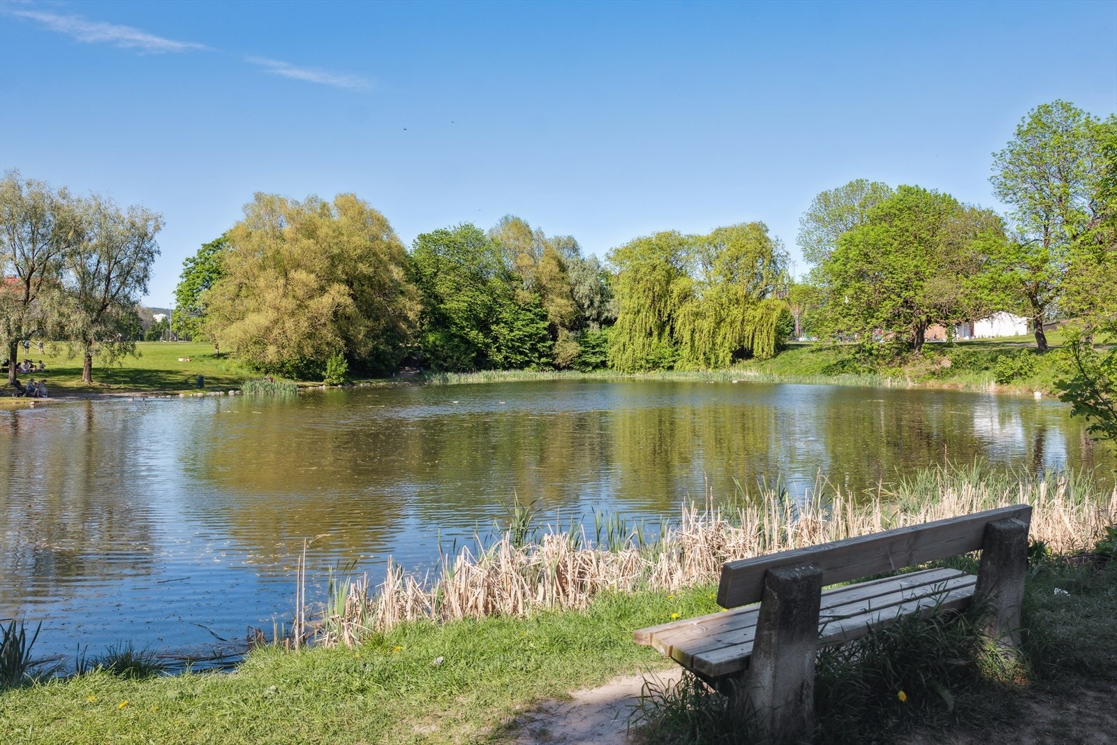 Hovindammen er en idyllisk parkdam rett utenfor leiligheten omgitt av fredelige grøntområder og turstier. Galleribilde